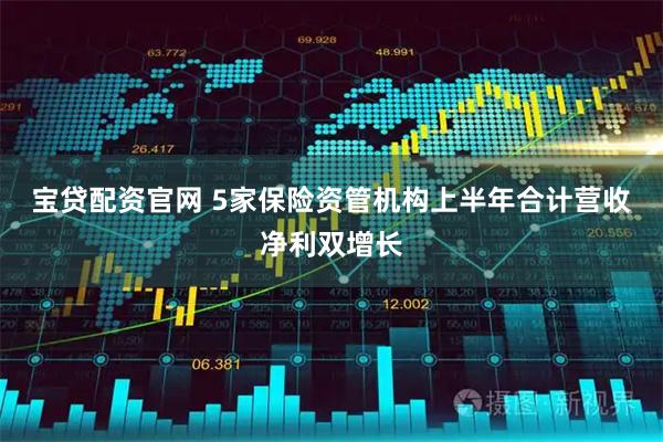 宝贷配资官网 5家保险资管机构上半年合计营收净利双增长