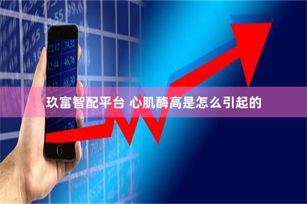玖富智配平台 心肌酶高是怎么引起的