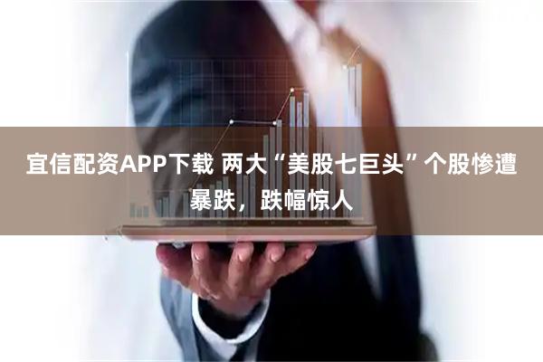 宜信配资APP下载 两大“美股七巨头”个股惨遭暴跌，跌幅惊人